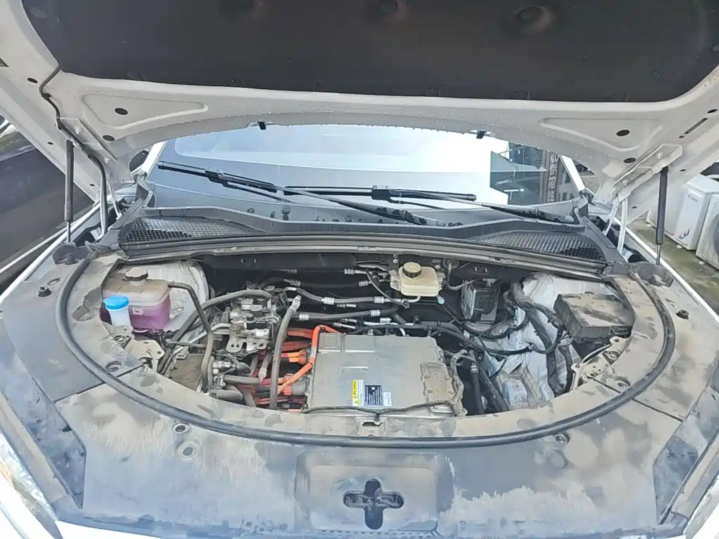 BYD PLUS New Energy — фото 20