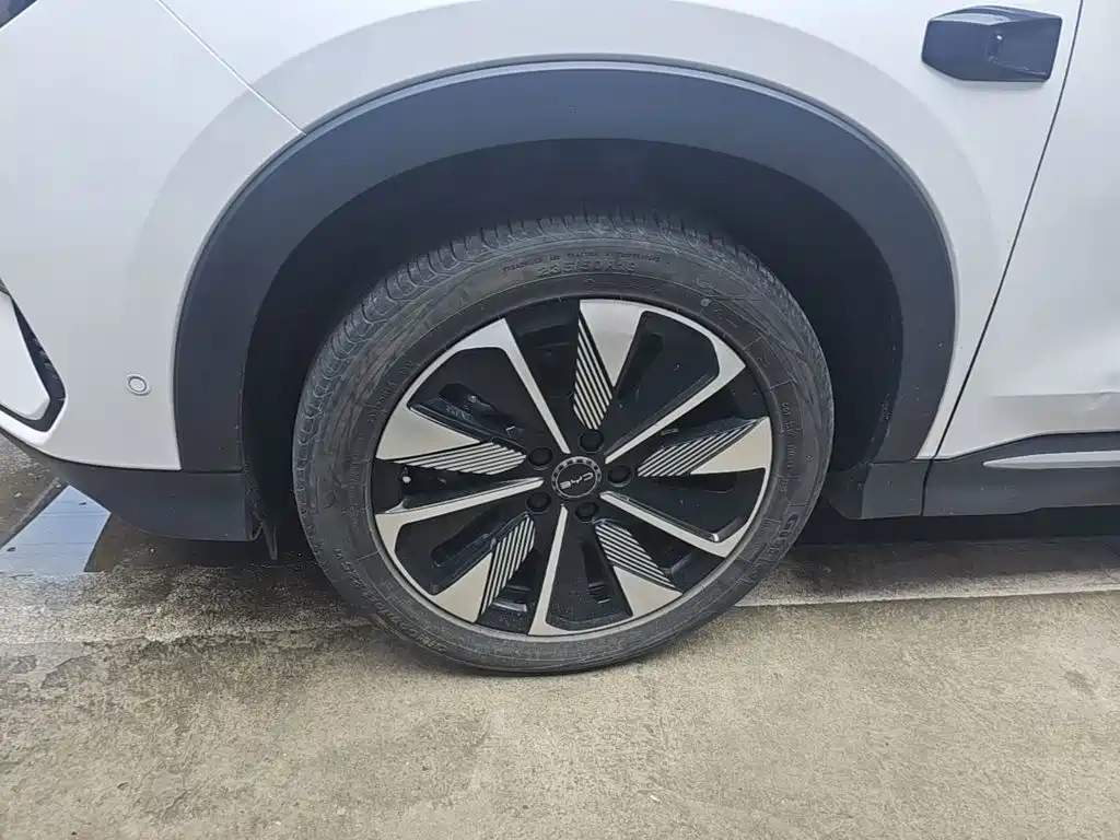 BYD PLUS New Energy — фото 23