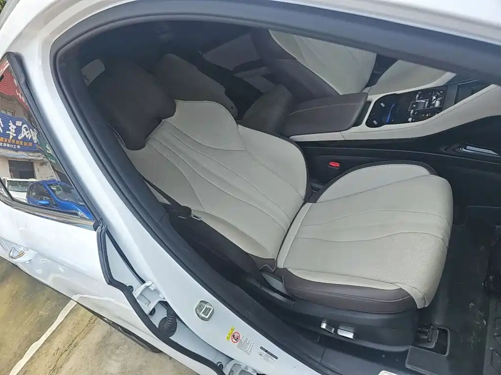 BYD PLUS New Energy — фото 25