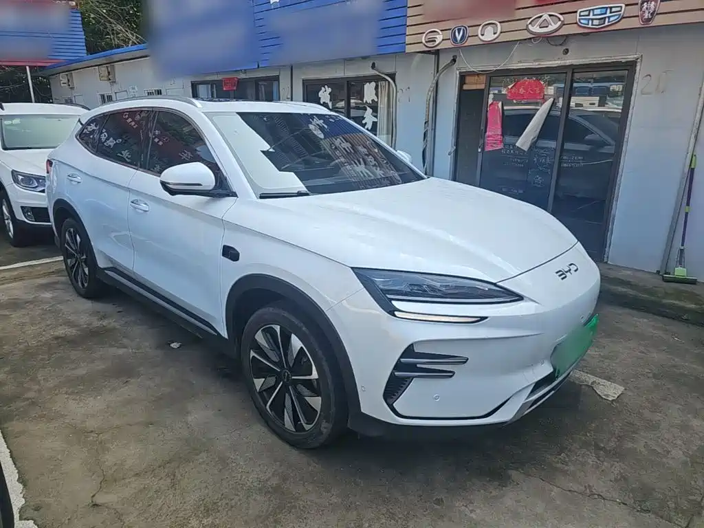 BYD PLUS New Energy — фото 4