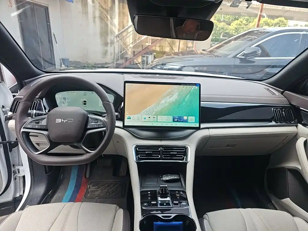 BYD PLUS New Energy — фото 10
