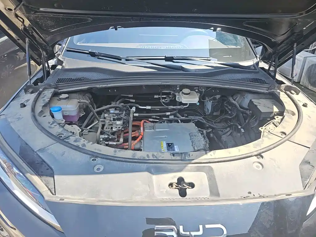 BYD PLUS New Energy — фото 20