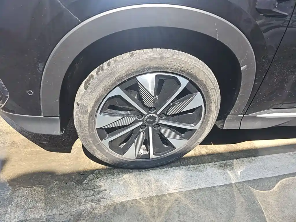 BYD PLUS New Energy — фото 23