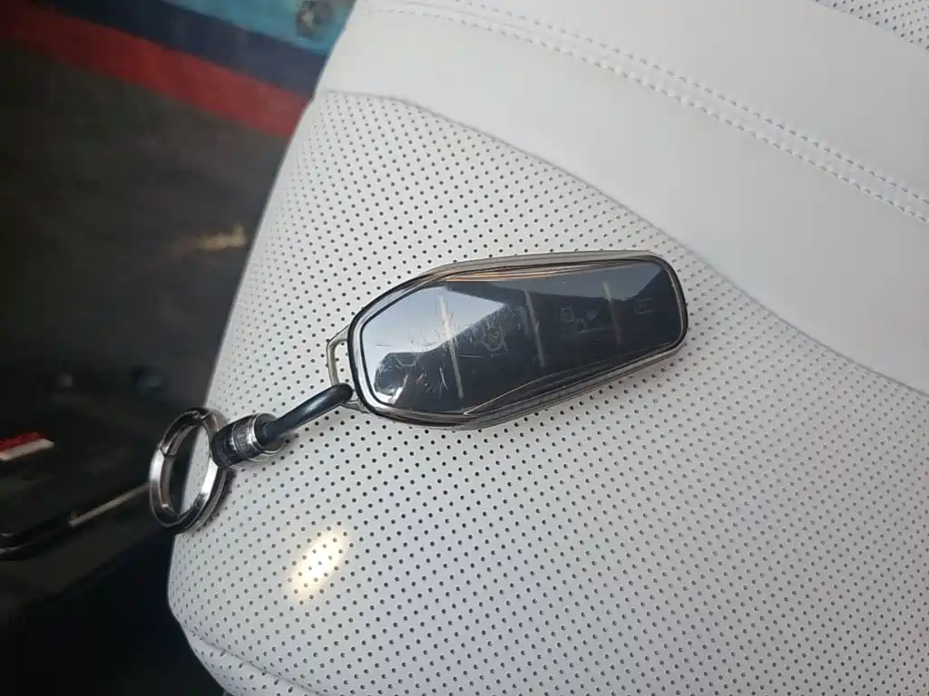 BYD PLUS New Energy — фото 9