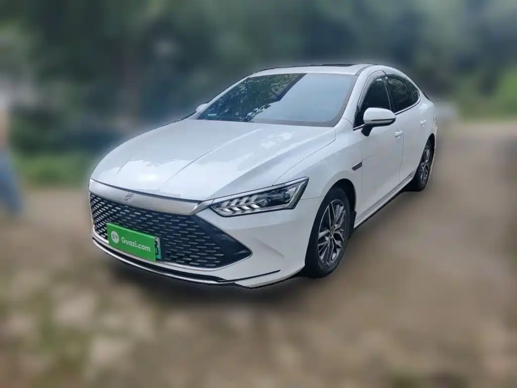 BYD Qin PLUS — фото 2