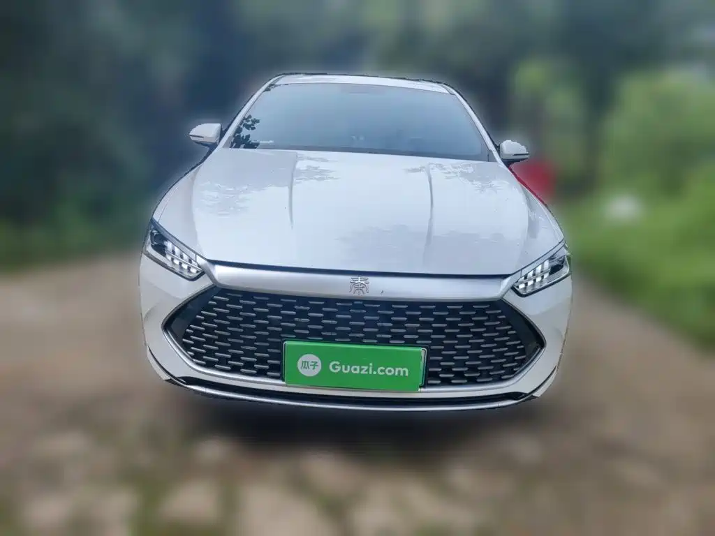 BYD Qin PLUS — фото 24