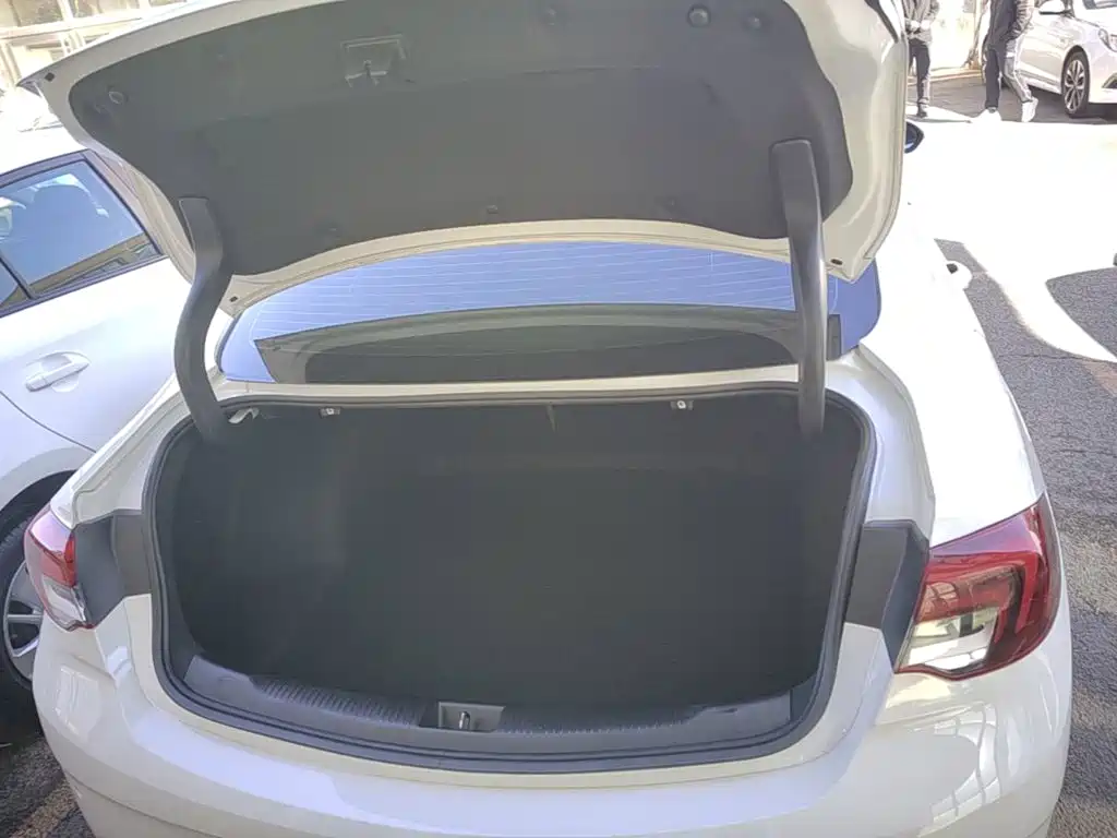Buick Regal — фото 18