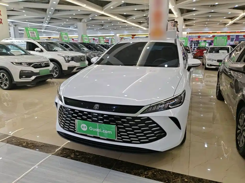 BYD Qin PLUS — фото 2