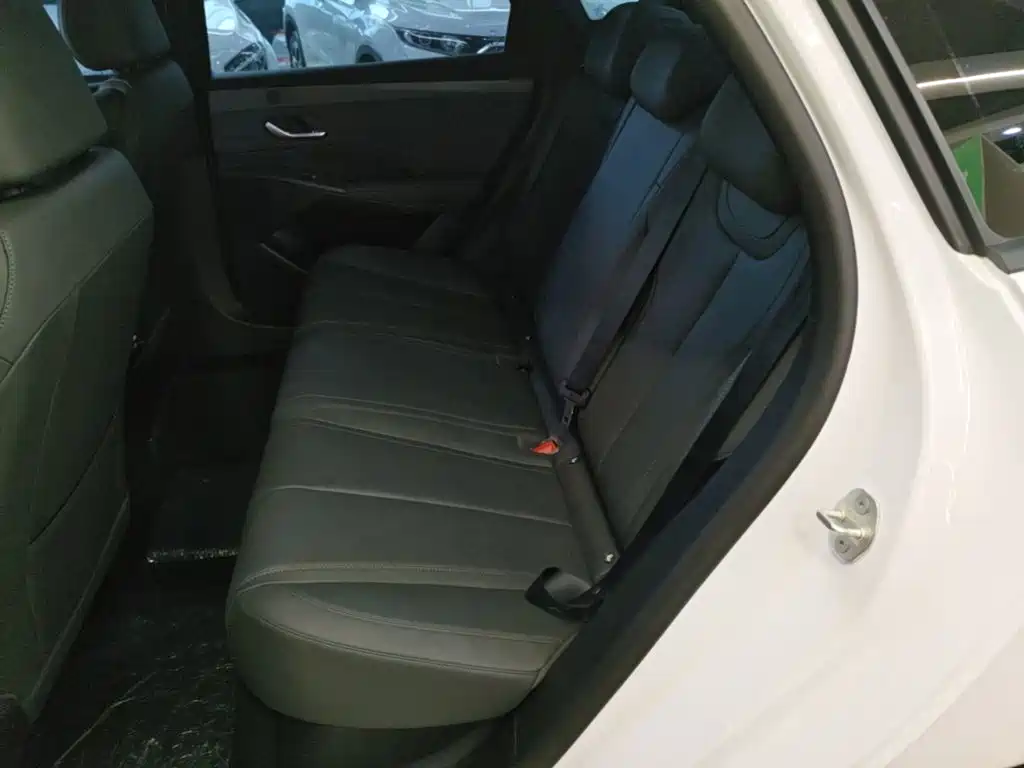 BYD Qin PLUS — фото 17
