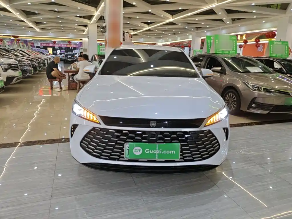 BYD Qin PLUS — фото 3
