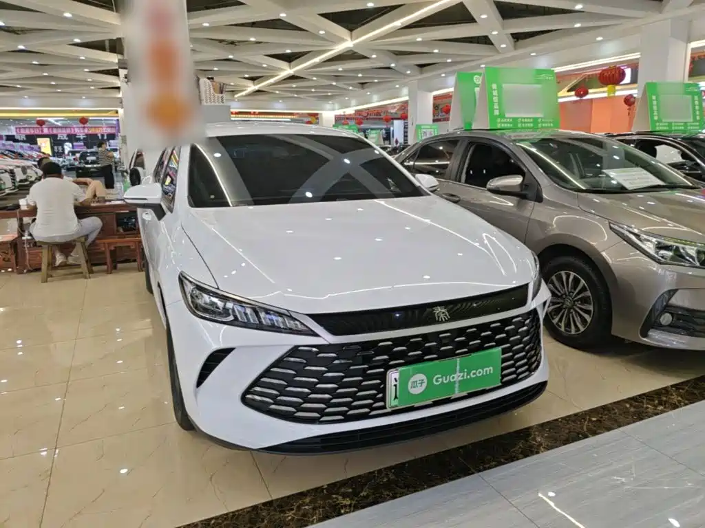 BYD Qin PLUS — фото 4