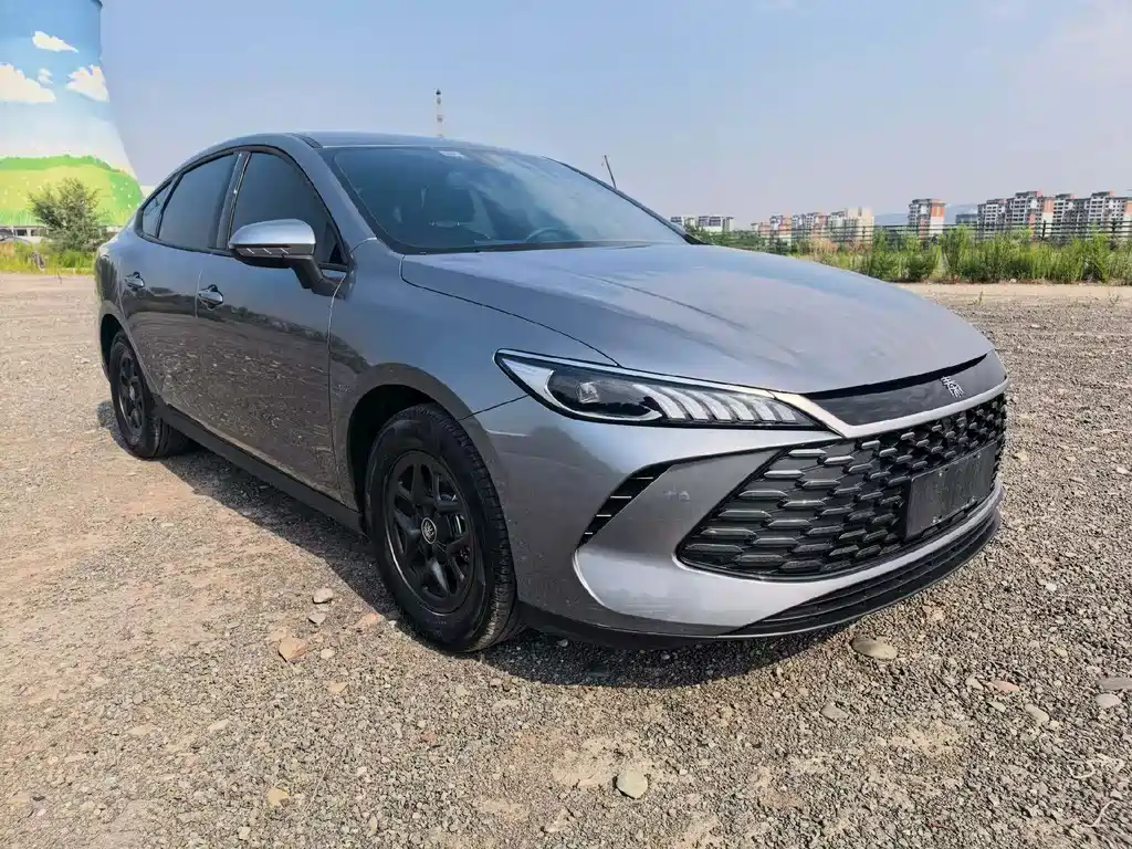 BYD Qin PLUS — фото 3