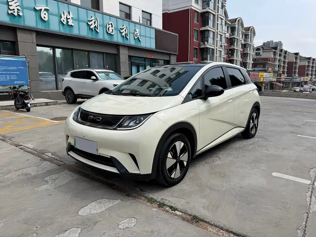 BYD Dolphin