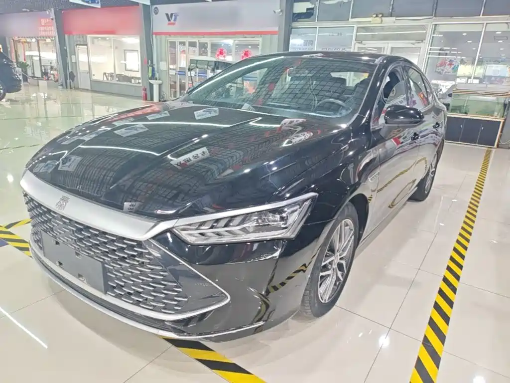 BYD Qin PLUS — фото 2