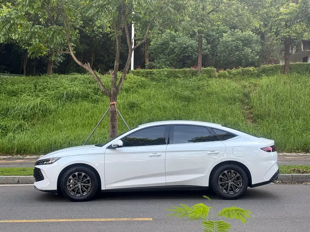 BYD Qin L — фото 15