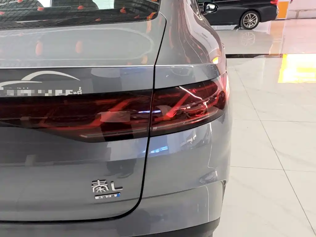 BYD Qin L — фото 8