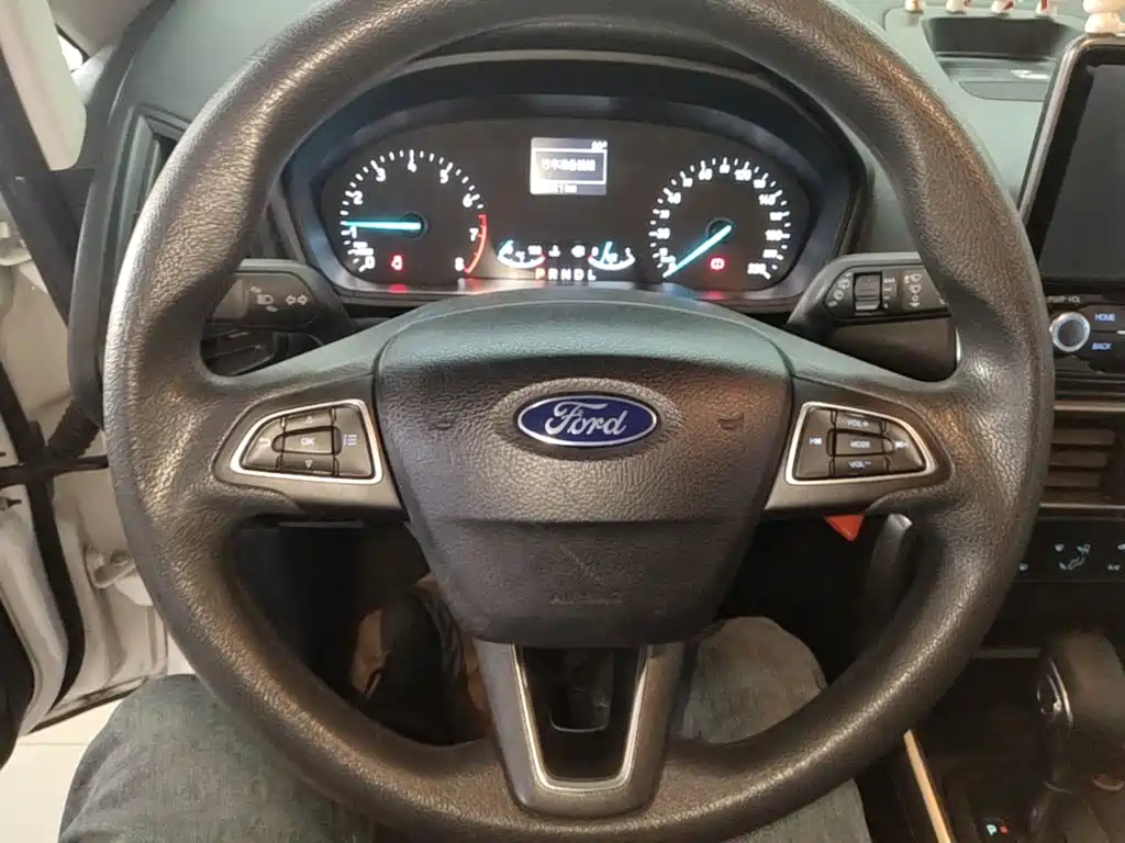 Ford Ecosport — фото 10