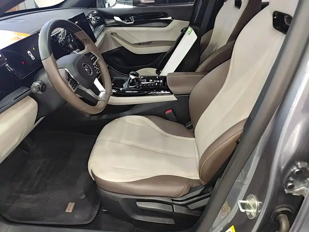 BYD Qin PLUS — фото 15