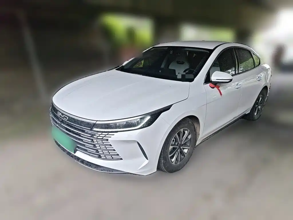 BYD Qin PLUS — фото 2