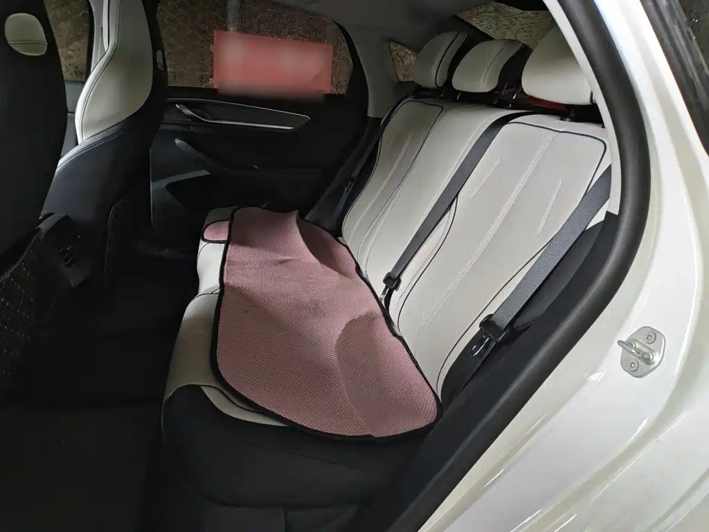 BYD Qin PLUS — фото 15