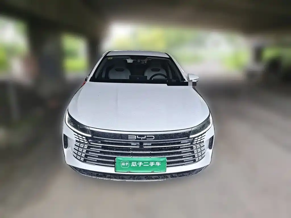 BYD Qin PLUS — фото 24