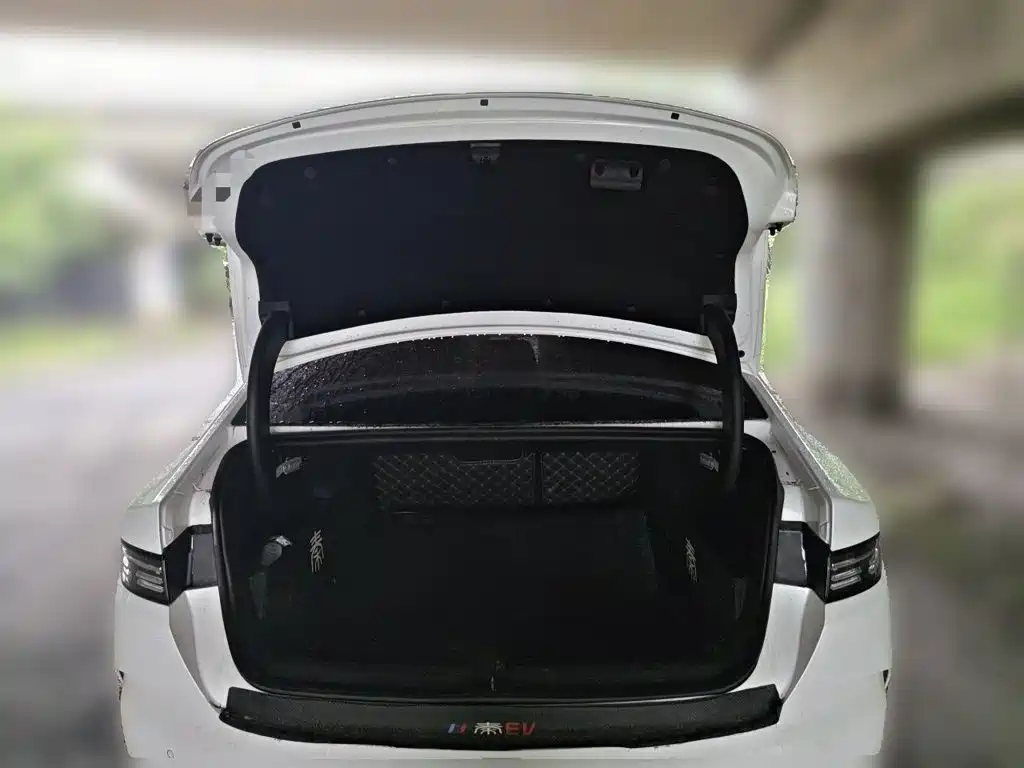 BYD Qin PLUS — фото 10