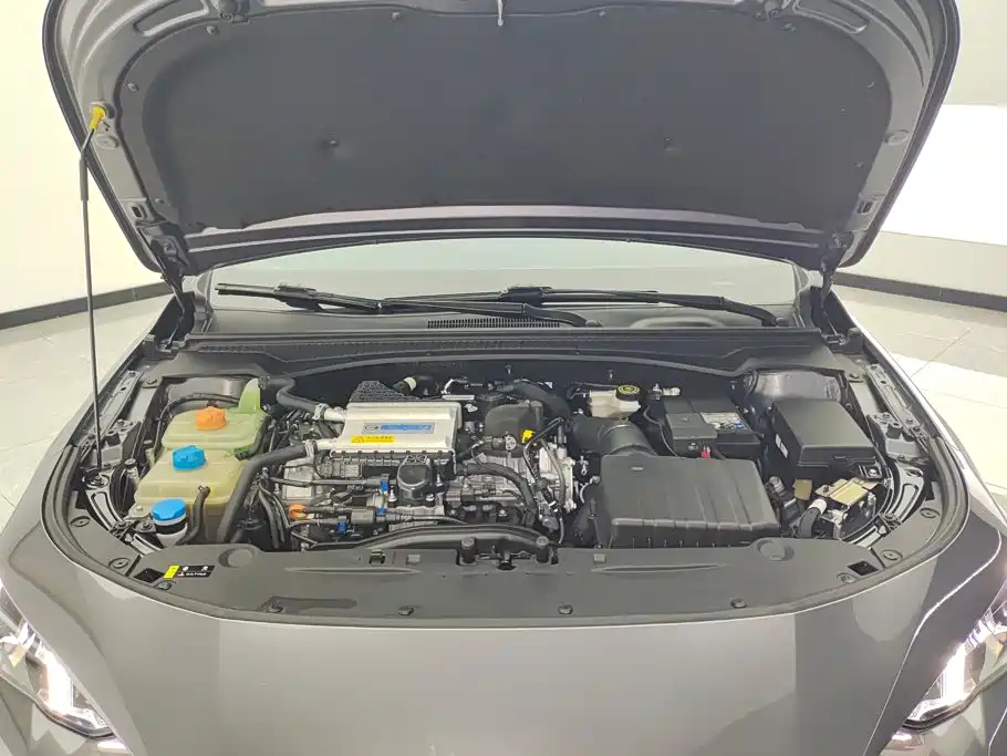 GAC Motor Shadow Leopard — фото 10