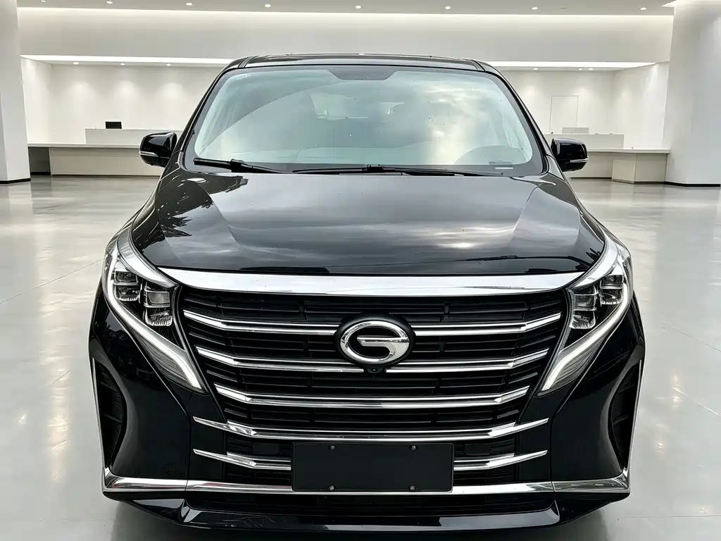 GAC Motor Trumpchi M8 — фото 2