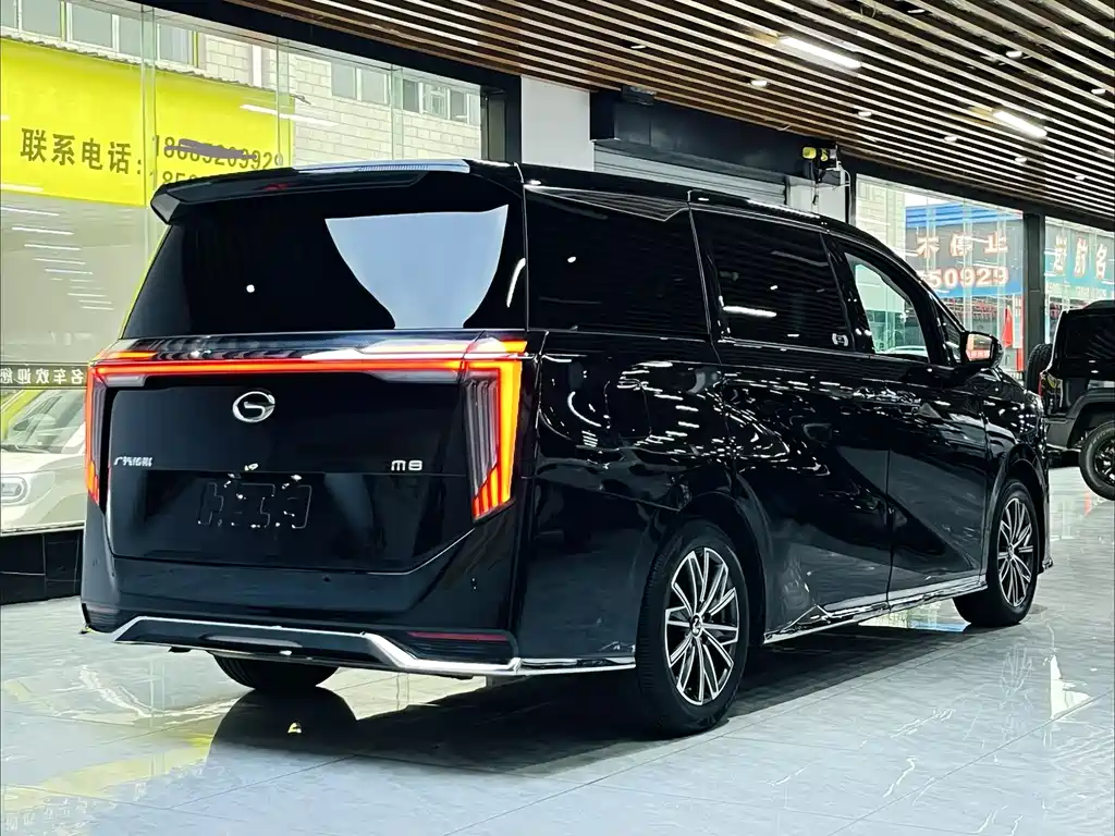GAC Motor Trumpchi M8 — фото 21