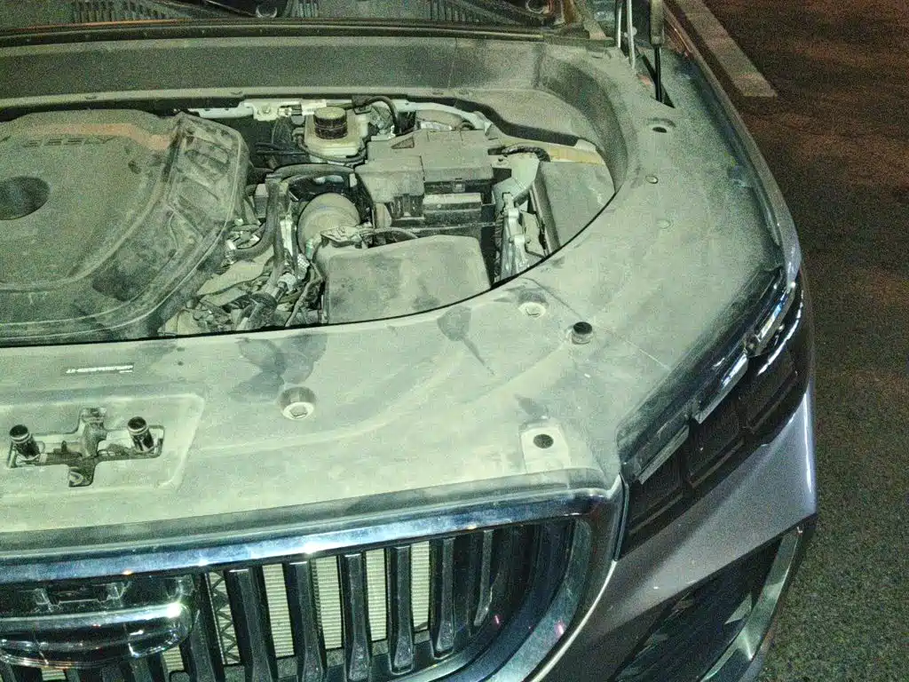 Geely Monjaro — фото 21
