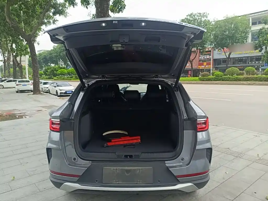 BYD PLUS New Energy — фото 19