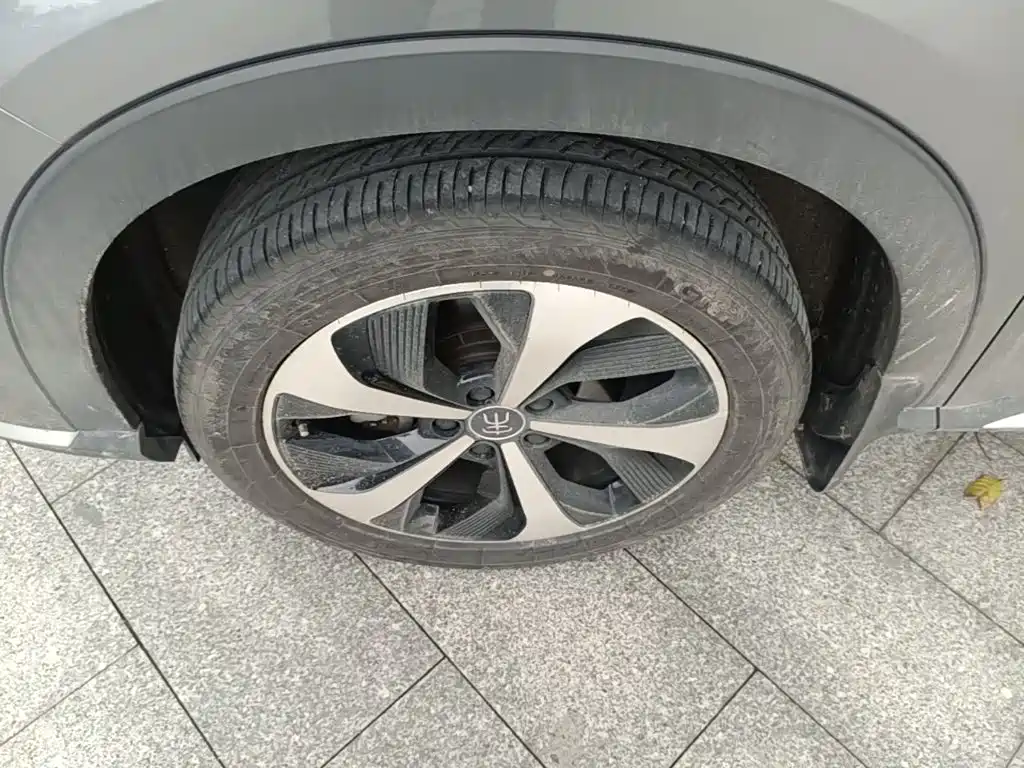 BYD PLUS New Energy — фото 23