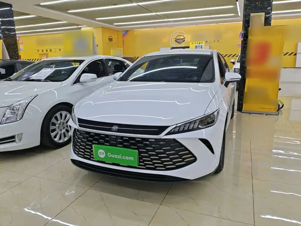BYD Qin PLUS — фото 2