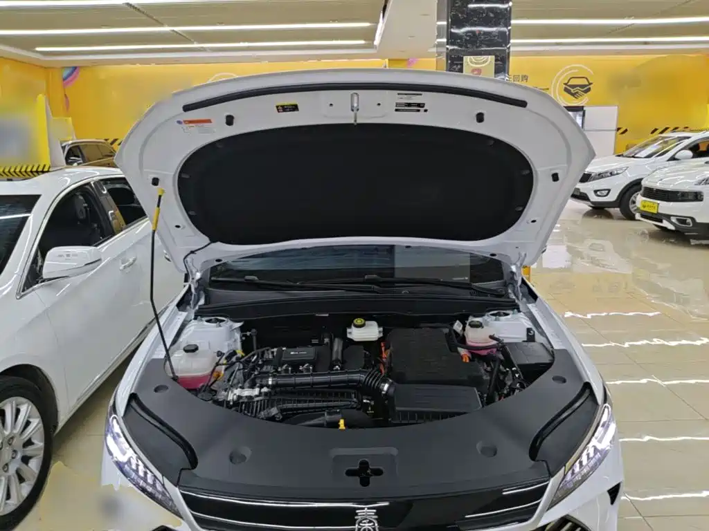 BYD Qin PLUS — фото 20
