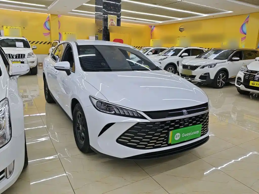 BYD Qin PLUS — фото 4