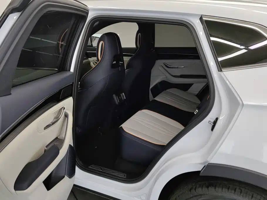 BYD PLUS New Energy — фото 11