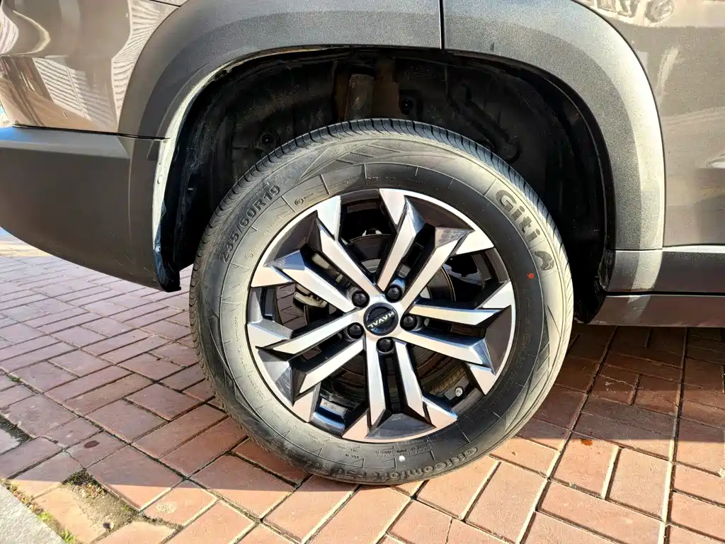 Haval Big Dog — фото 20