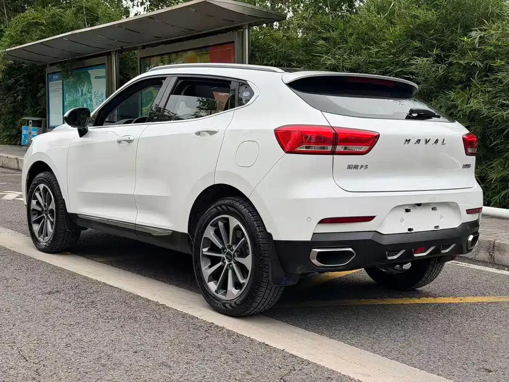 Haval F5 — фото 28