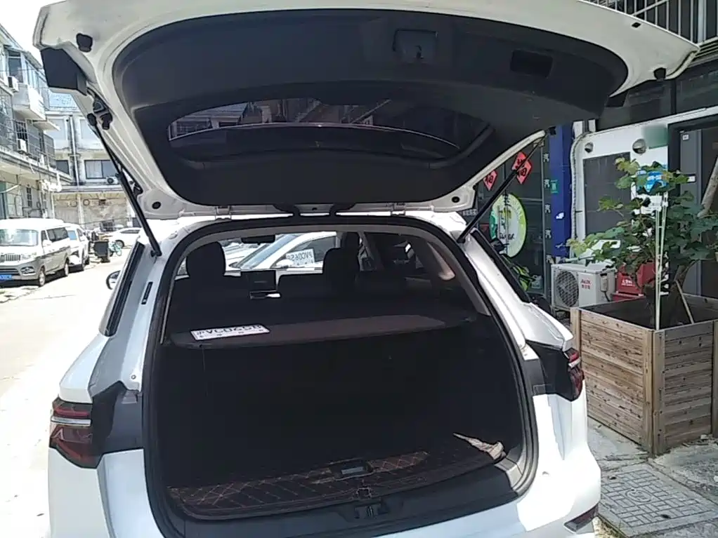 BYD Pro New Energy — фото 19