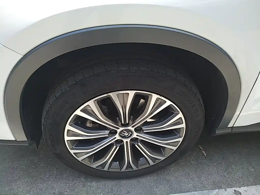 BYD Pro New Energy — фото 23