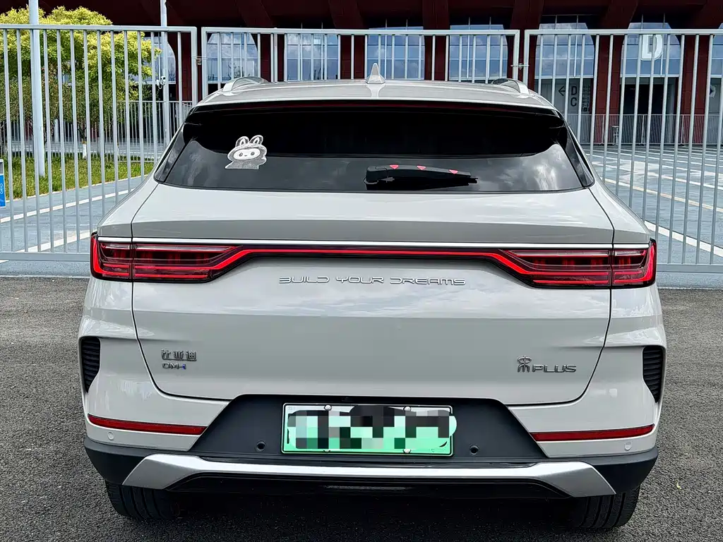 BYD PLUS New Energy — фото 4