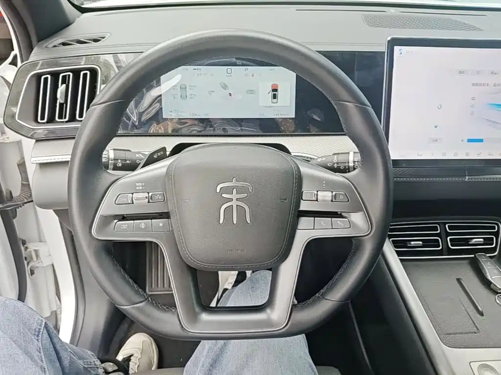 BYD Pro New Energy — фото 11