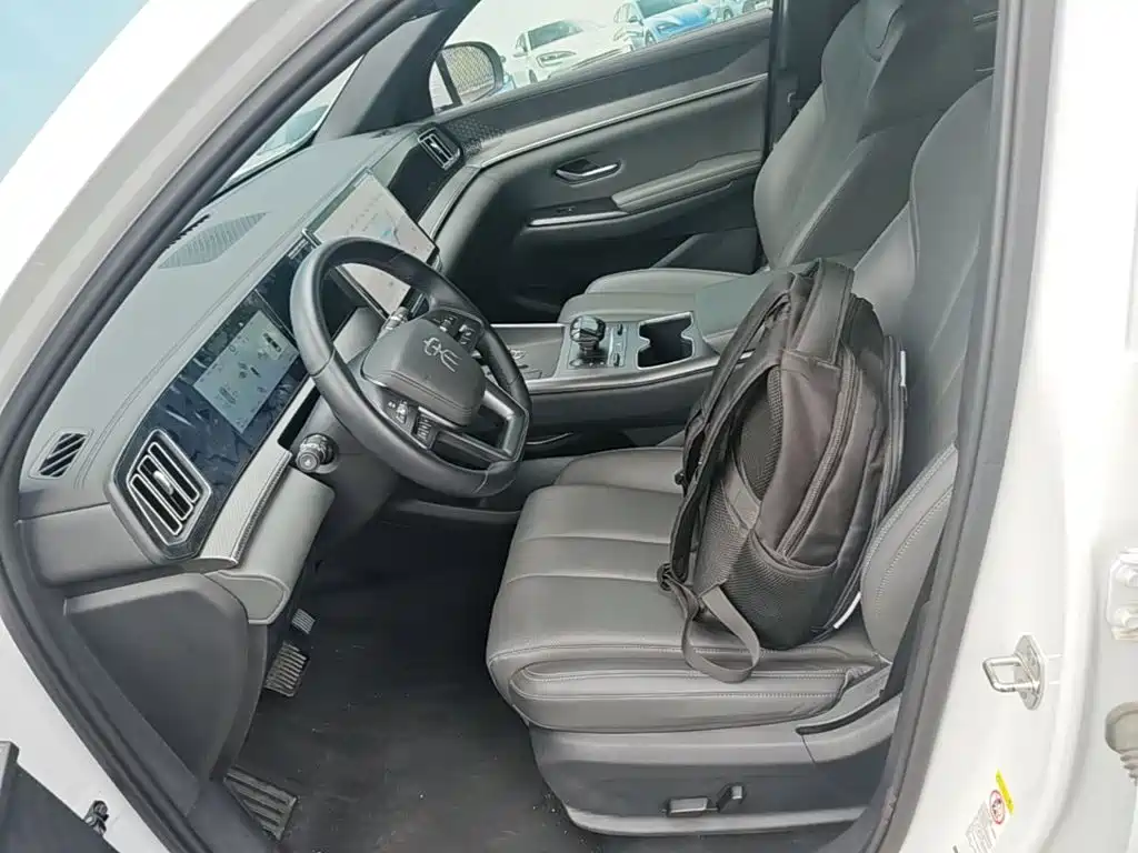 BYD Pro New Energy — фото 15