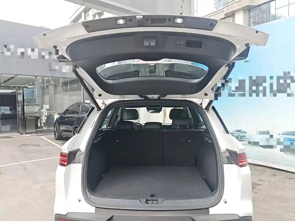 BYD Pro New Energy — фото 19