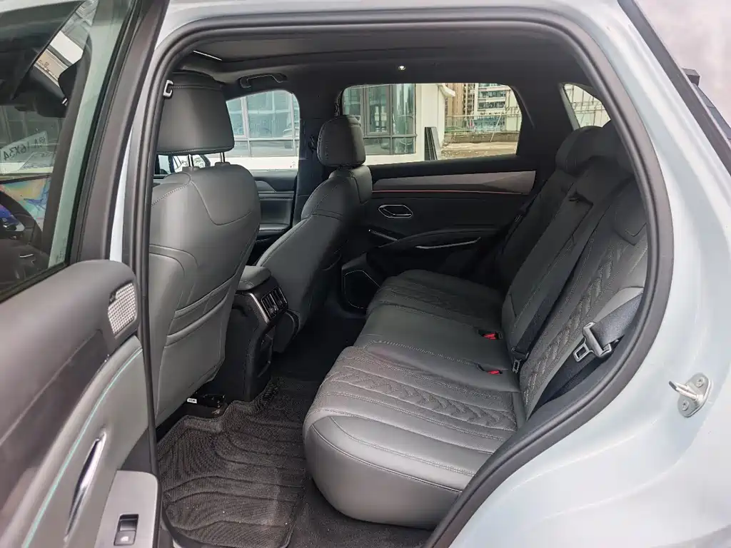 BYD L DM-i — фото 7