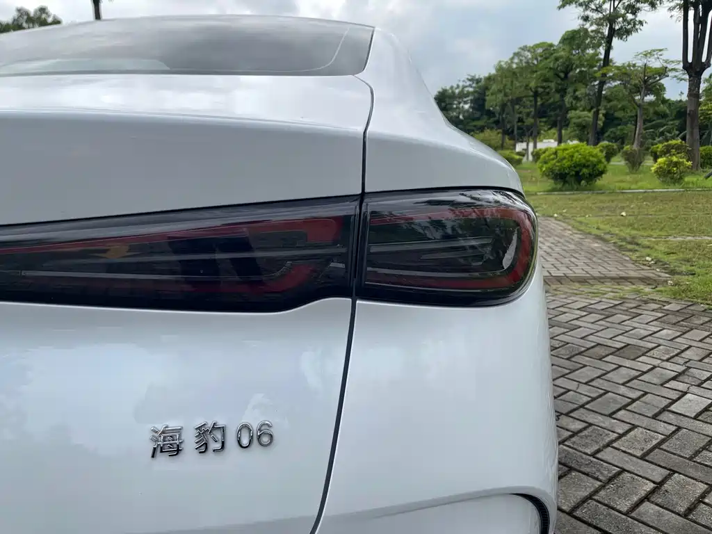BYD Seal 06 — фото 23