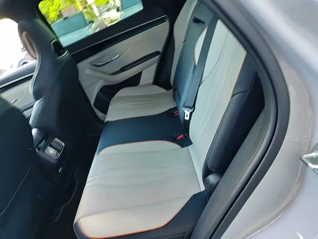 BYD PLUS New Energy — фото 17