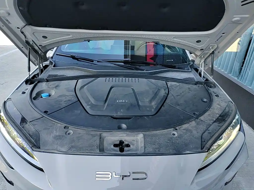 BYD PLUS New Energy — фото 20
