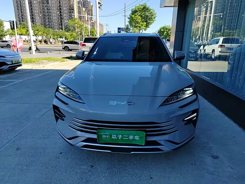 BYD PLUS New Energy — фото 3