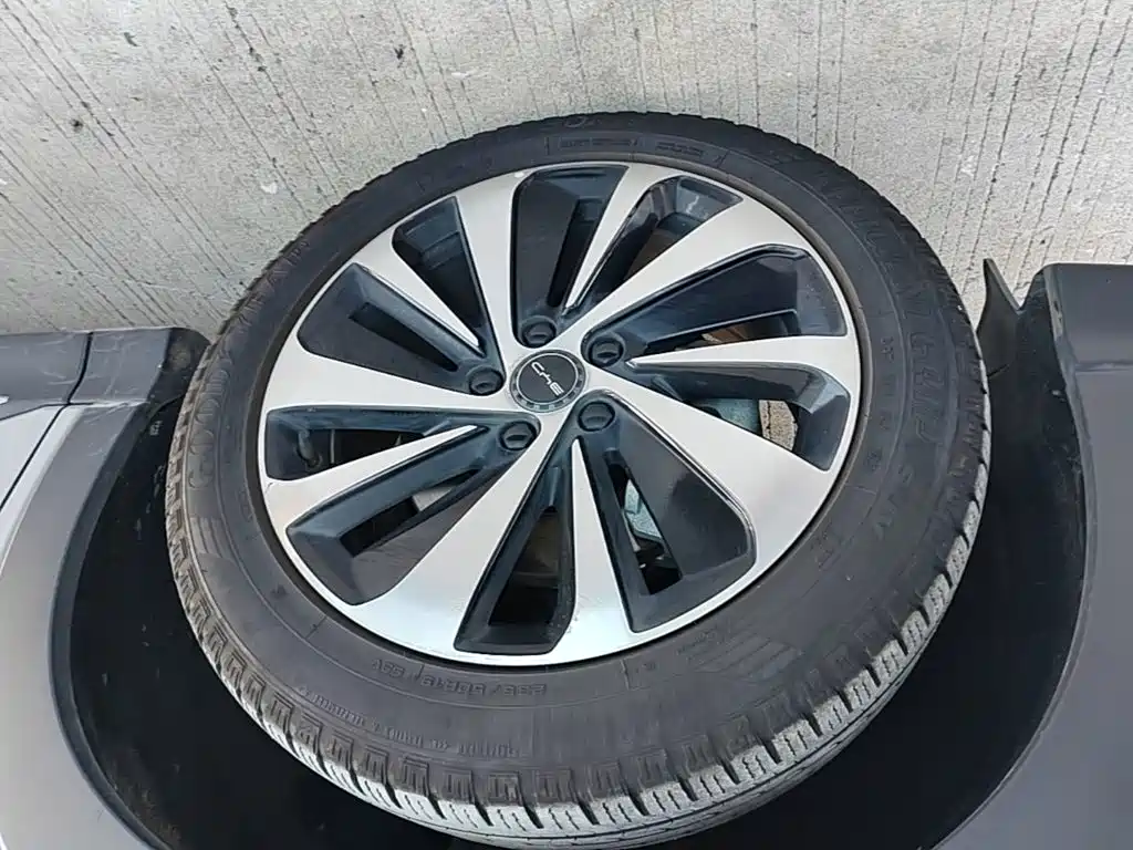 BYD PLUS New Energy — фото 23